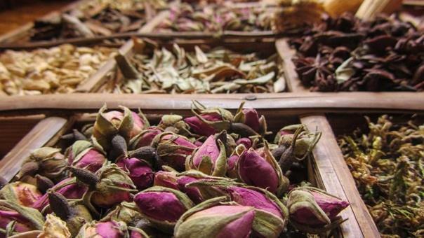Safae Сasa de vacaciones Marrakesh